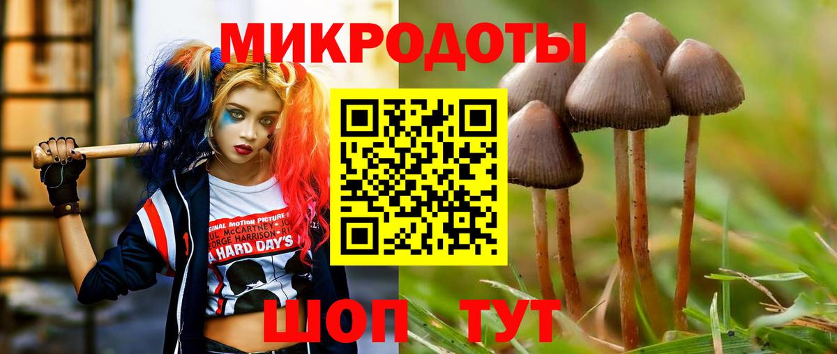 Галлюциногенные грибы Psilocybe Красноперекопск